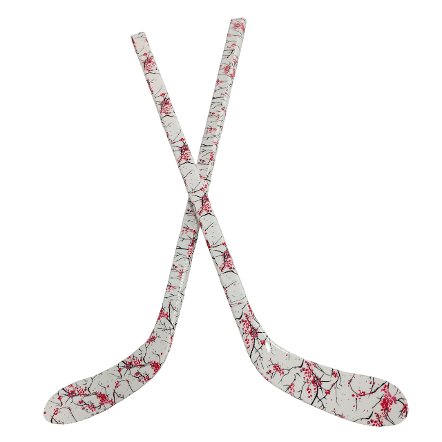 Langlebiges ABS-Eishockeystick – Kids Outdoor Gift Ideas Bewertung und Preis